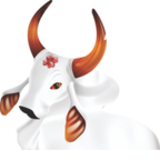 Sistema Administrativo - Boi Flor do Campo